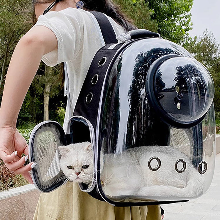 Explore the Ultimate Pet Cat Bag Transparent Skylight